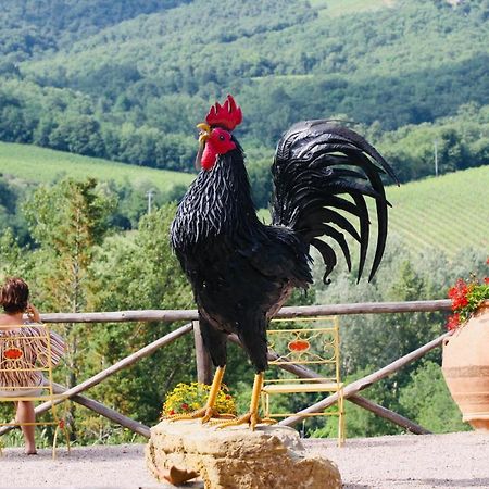 Agriturismo Borgo Il Bonagino Рада ин Кианти Екстериор снимка