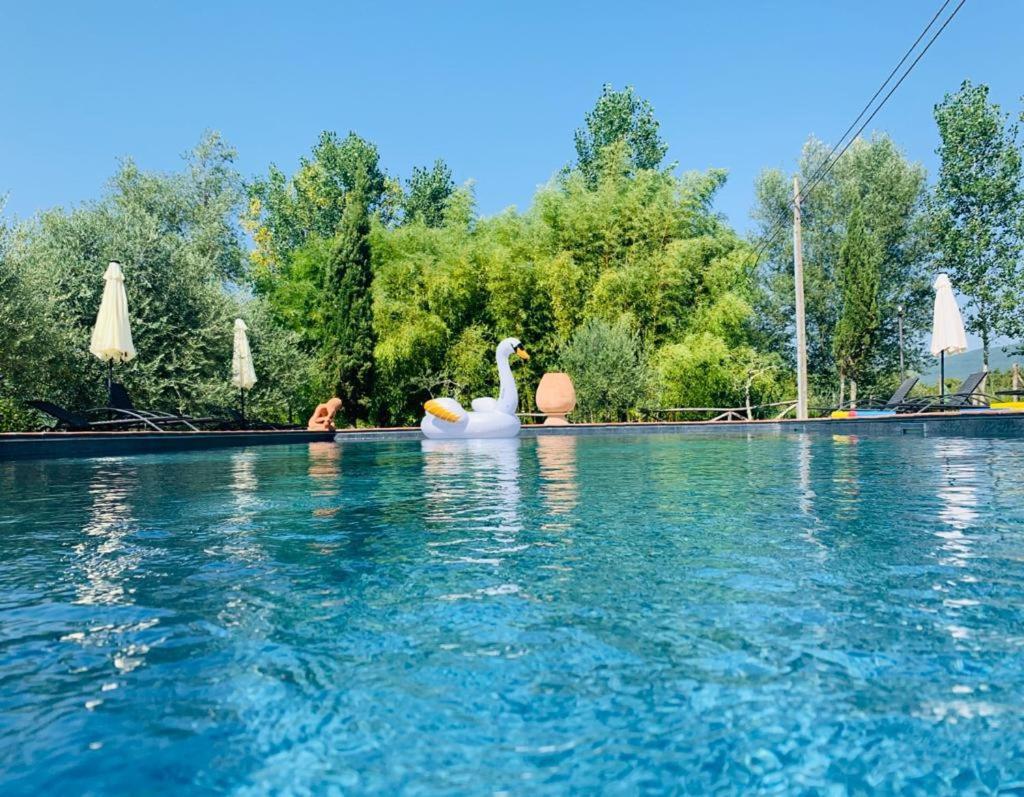 Agriturismo Borgo Il Bonagino Рада ин Кианти Екстериор снимка