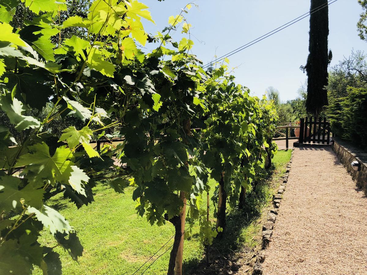 Agriturismo Borgo Il Bonagino Рада ин Кианти Екстериор снимка